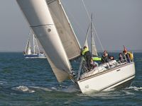 2 place in this sailing regatta teambuilding in rough conditions